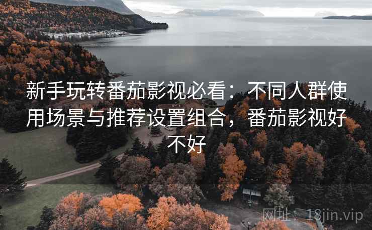 新手玩转番茄影视必看：不同人群使用场景与推荐设置组合，番茄影视好不好