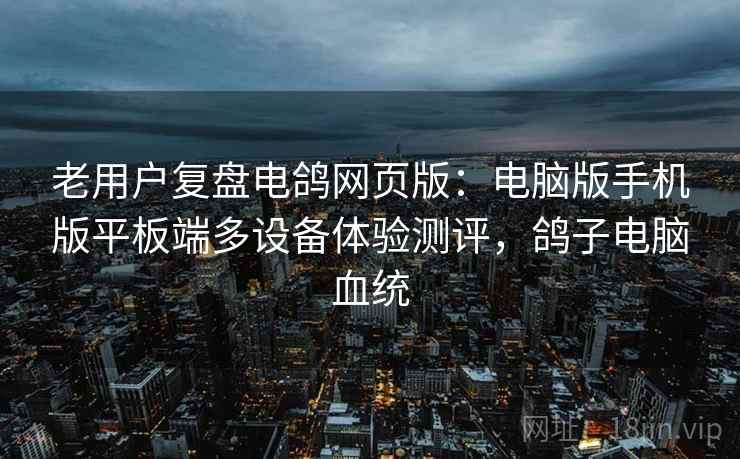 老用户复盘电鸽网页版:电脑版手机版平板端多设备体验测评,鸽子电脑血统 老用户复盘电鸽网页版:电脑版手机版平板端多设备体验测评,鸽子电脑血统