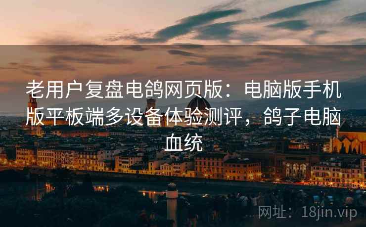 老用户复盘电鸽网页版:电脑版手机版平板端多设备体验测评,鸽子电脑血统 老用户复盘电鸽网页版:电脑版手机版平板端多设备体验测评,鸽子电脑血统